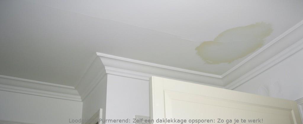 Daklekkage Opsporen Purmerend