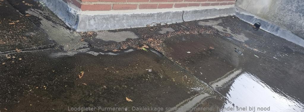 Daklekkage Spoed Purmerend