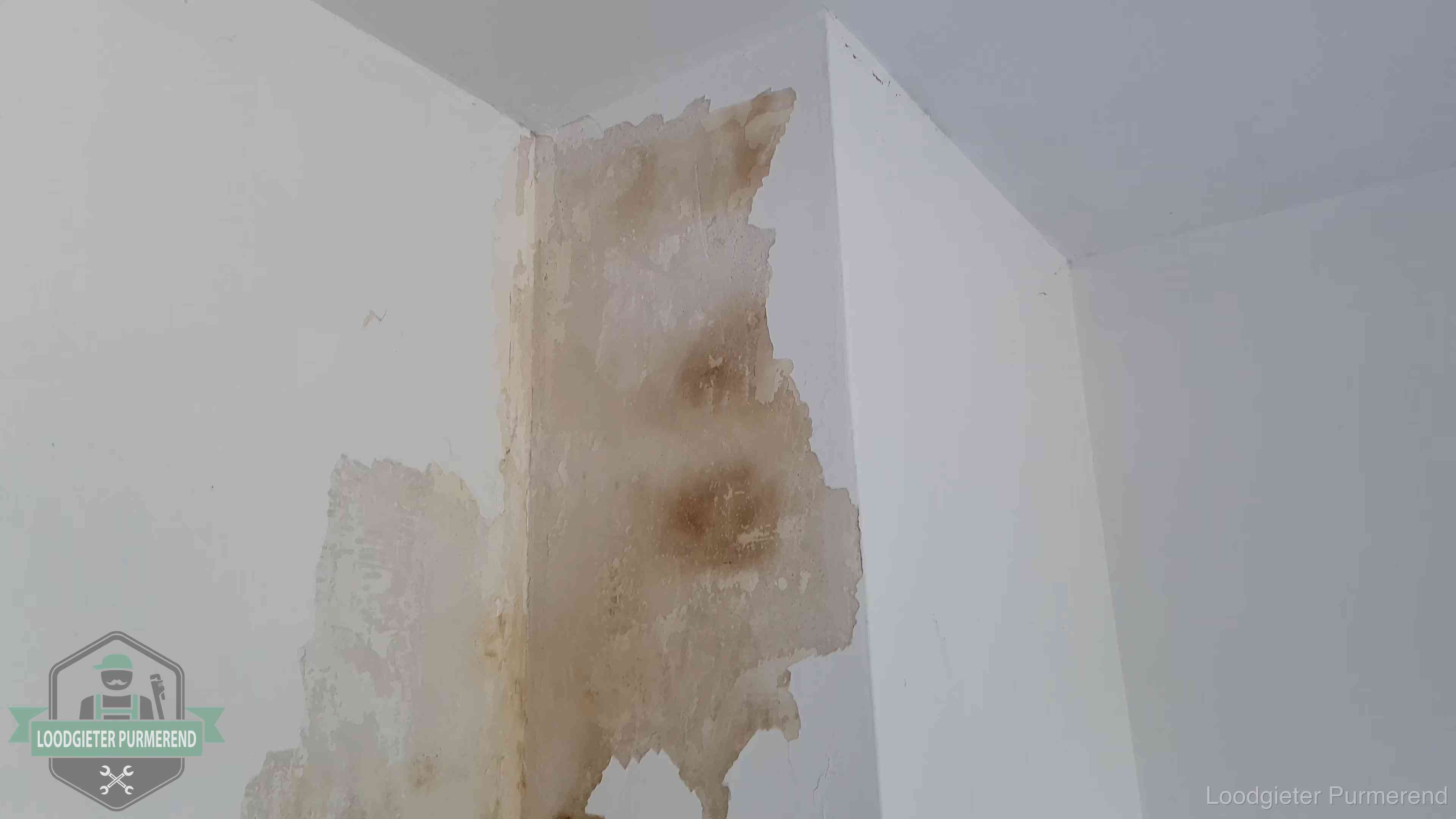 Bruine vochtkringen en afbladderend stucwerk op een binnenmuur in Purmerend, een eerste teken van daklekkage