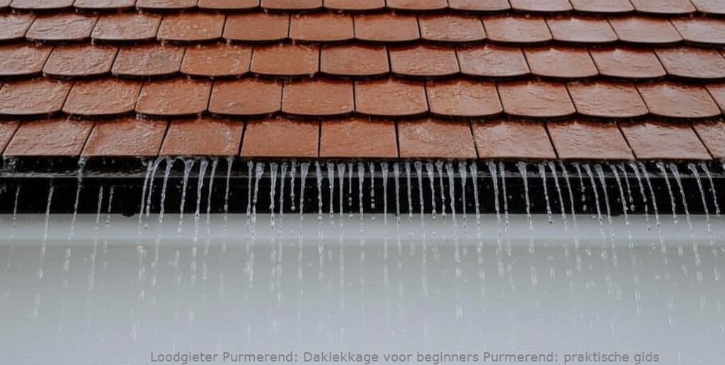 Daklekkage Voor Beginners Purmerend