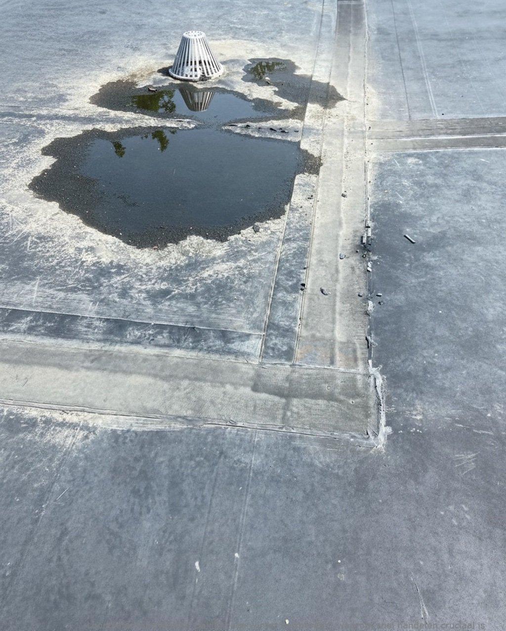 Daklekkage Winter Purmerend
