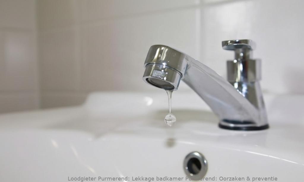 Lekkage Badkamer Purmerend