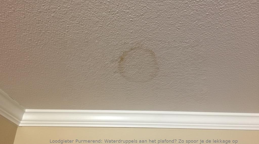 Lekkage Plafond Purmerend