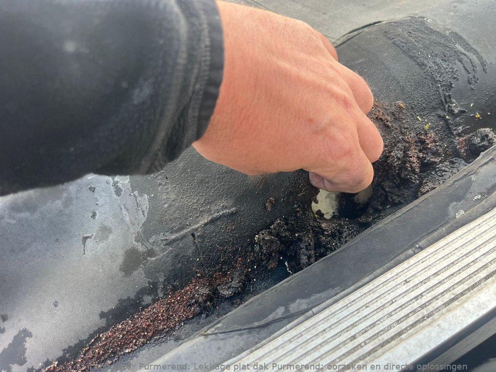 Lekkage Plat Dak Purmerend