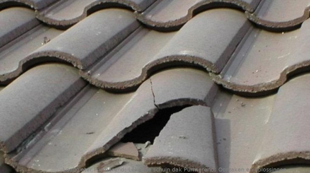 Lekkage Schuin Dak Purmerend 1