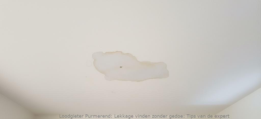 Lekkage Vinden Purmerend