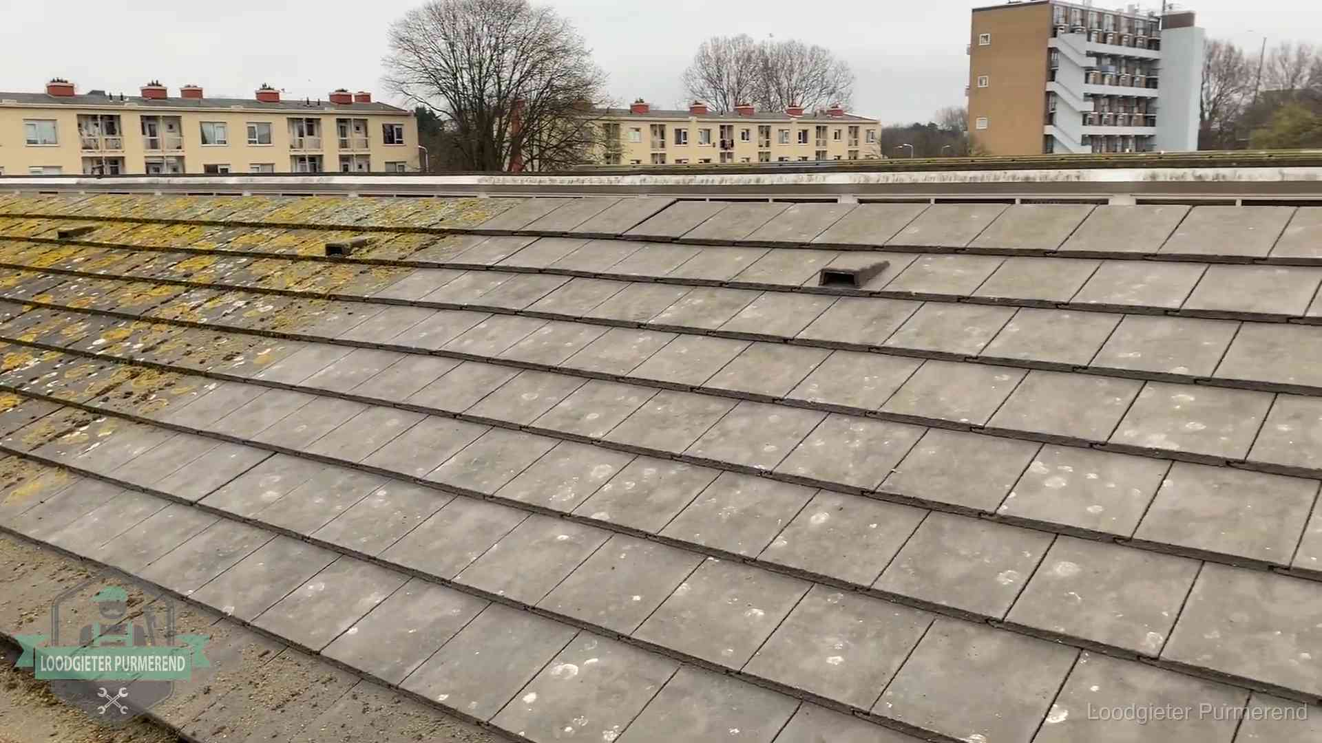Schuin dak met betonpannen vol mos in Purmerend, een risico op lekkage bij de pannen