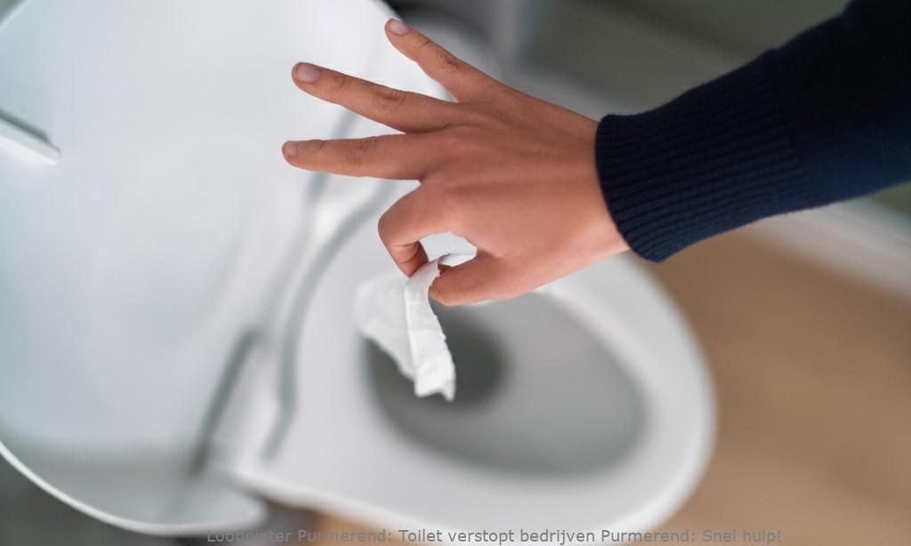 Toilet Verstopt Bedrijven Purmerend