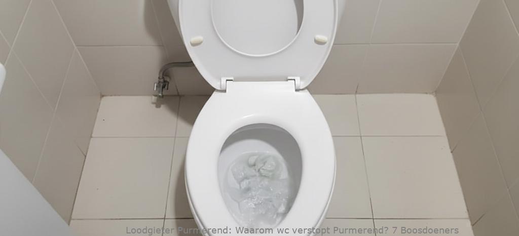 Waarom Wc Verstopt Purmerend