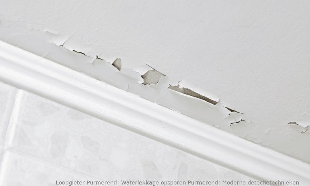 Waterlekkage Opsporen Purmerend